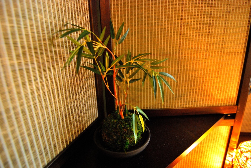 Miyabian