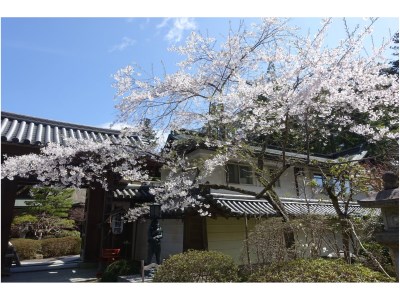 Koyasan Onsen Fukuchi-in