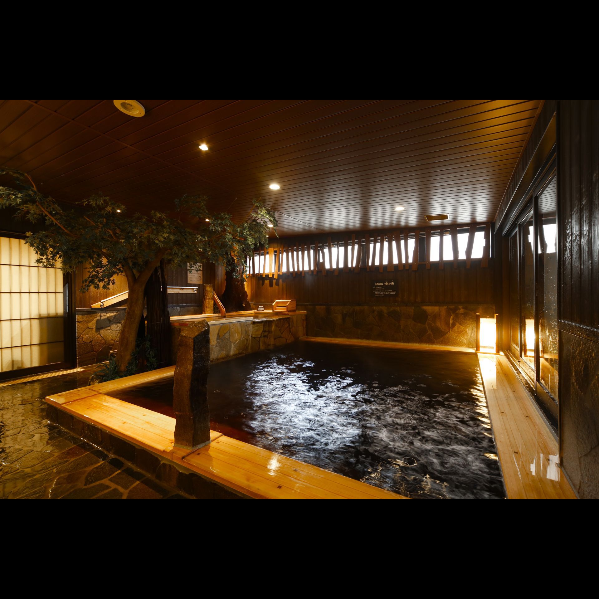 Natural Onsen Tsurugi no Yu Dormy Inn Toyama