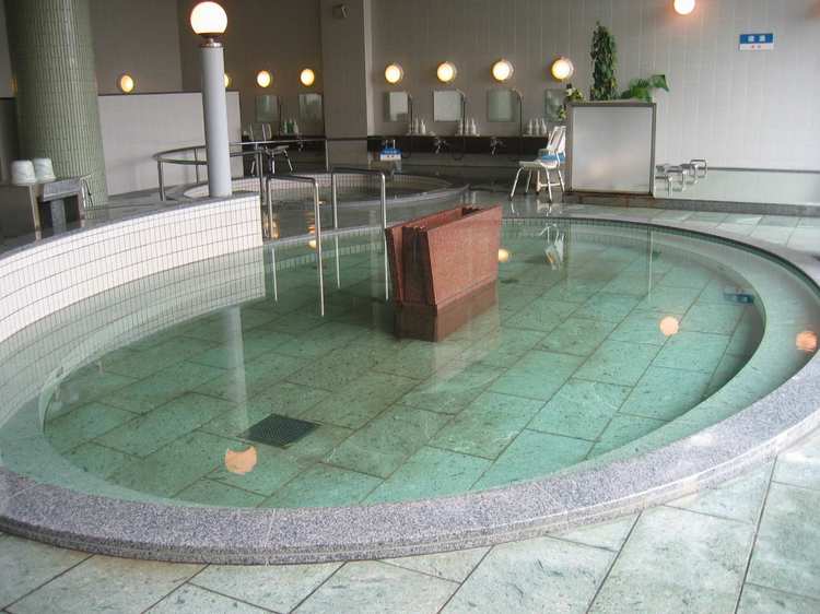 Niyodogawaino Onsen Kanpo no Yado Ino