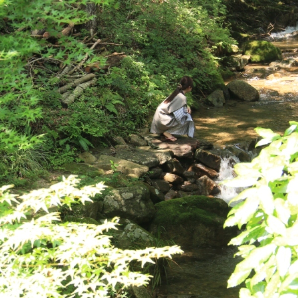 Iwasu Onsen Ryokan Iwasuso