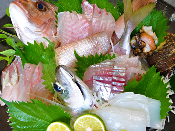 Wakasa Mikata Seafood Restaurant Seifuso (Fukui)