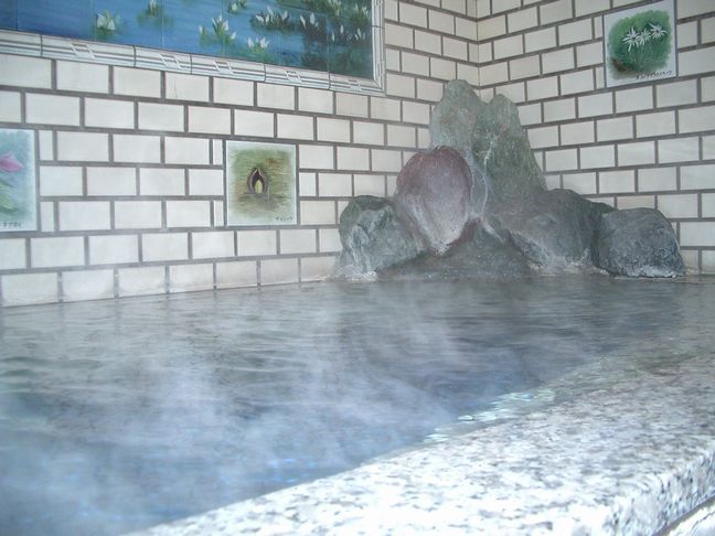 Ozetokura Onsen Fujiya Ryokan