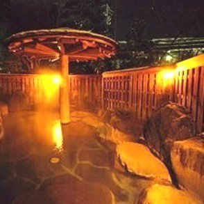 Shinhirayu Onsen Chosaku no Yado Nakadaya