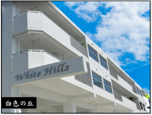 White Hills Sunset Apt. with Private Swimming Pool