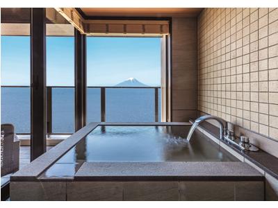 Ryugujo Spa Hotel Mikazuki Fujimitei