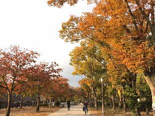 MikawaHOUSE　 Osaka Castle