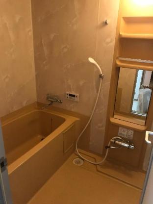 Daily & Nana's Apartment Outer Asakusa