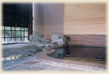 Iizaka Onsen Fukuzumi Ryokan