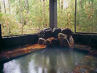 Togatta Onsen Pension Donguri