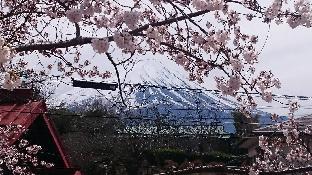 Japanese tradisional HUGE House viewing Mt.FUJI