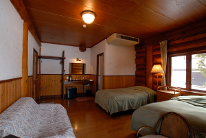 Hakuba Log Hotel Meteor