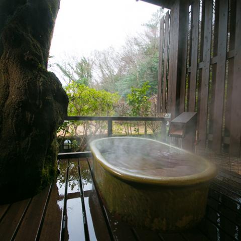 Atsugiiiyama Onsen Motoyu Ryokan