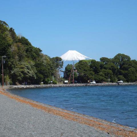 Ocean View Fujimi