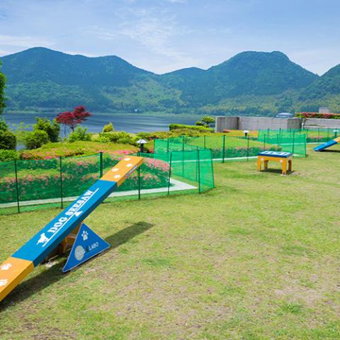 Dog Resort Kagoshima CoCo Fore Imuta